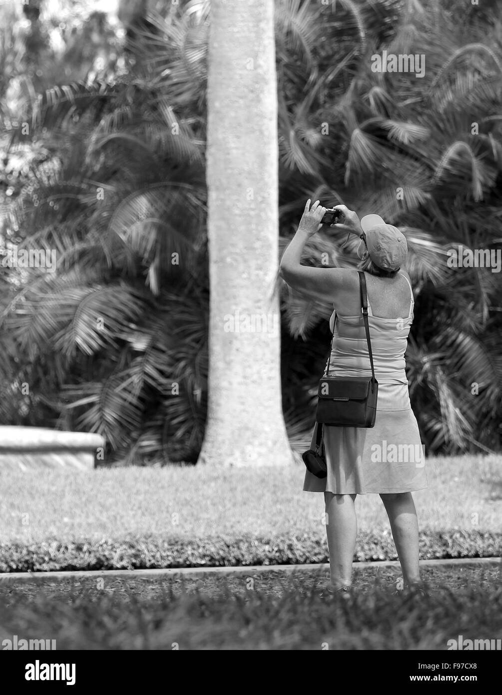 Reife Frau Fotograf in einem Florida Park. Oktober 2014 Stockfoto