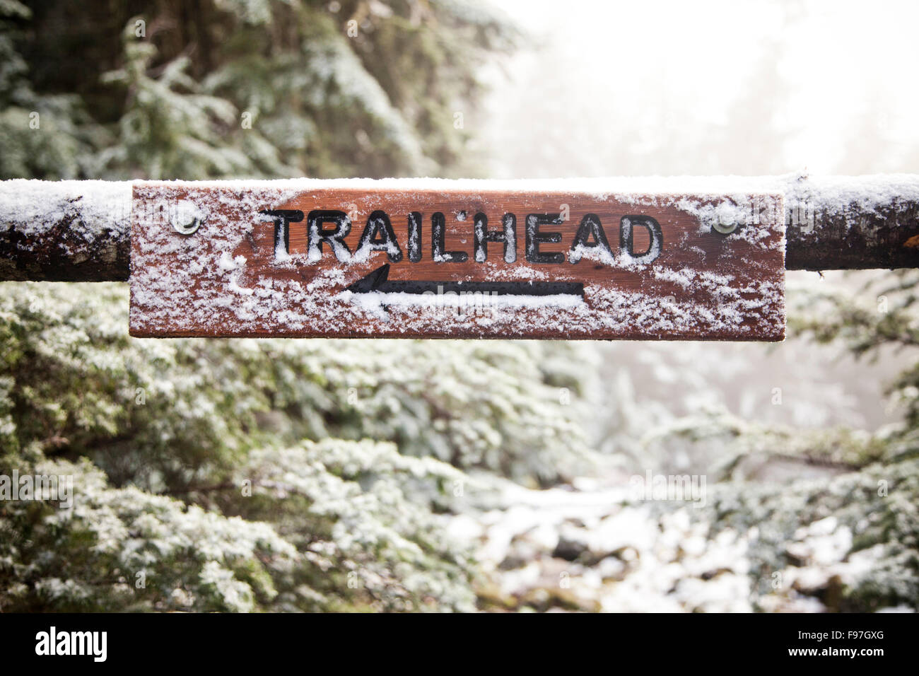 POSTFACH PEAK, NORTH BEND, WASHINGTON, USA. Ein Schnee bestäubt Trail Zeichen genagelt zu einem gefallenen Glied in einer immergrünen Wäldern liest "Trailhead" mit einem Pfeil nach links. Stockfoto