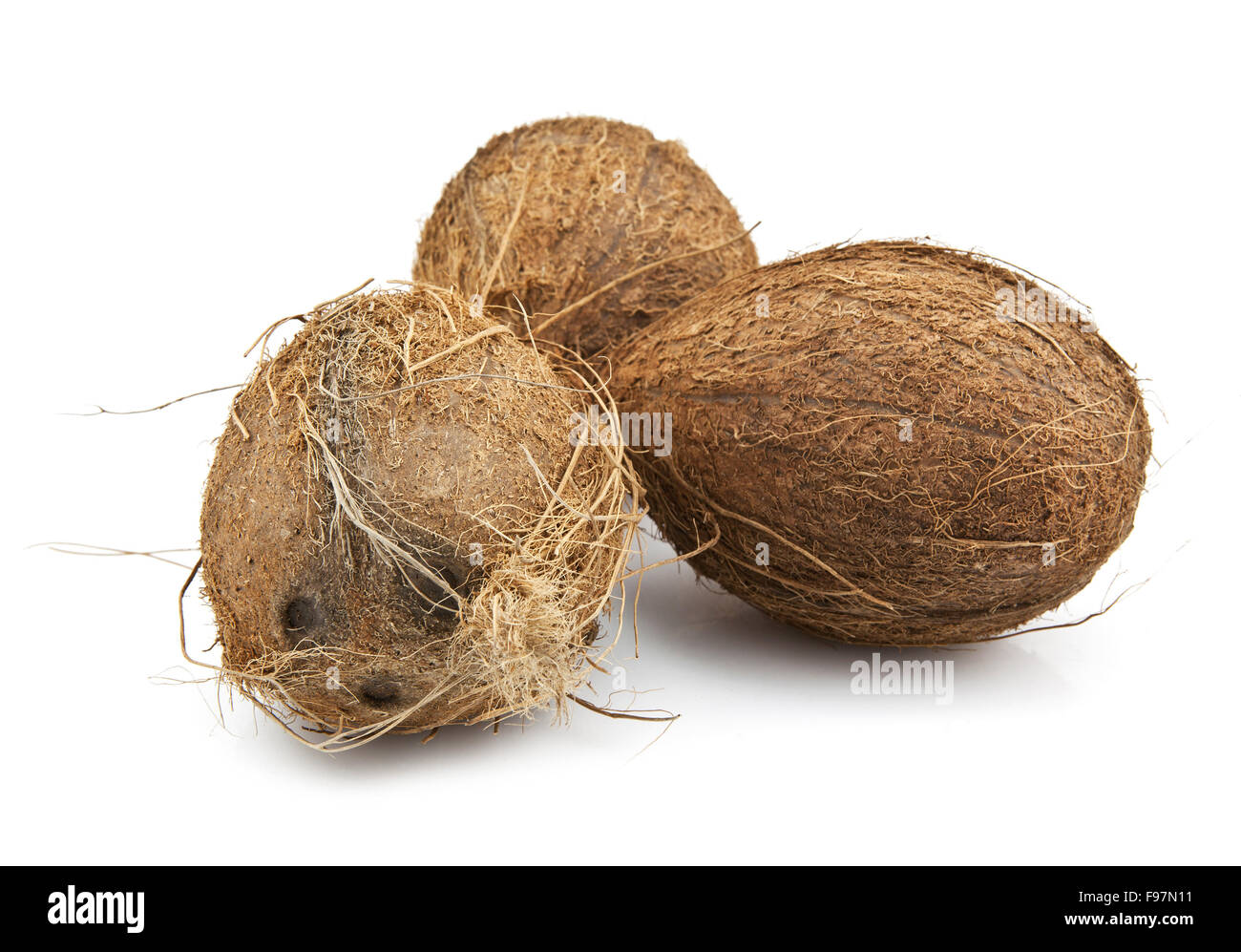 Kokosnüsse auf weißem Hintergrund Stockfoto