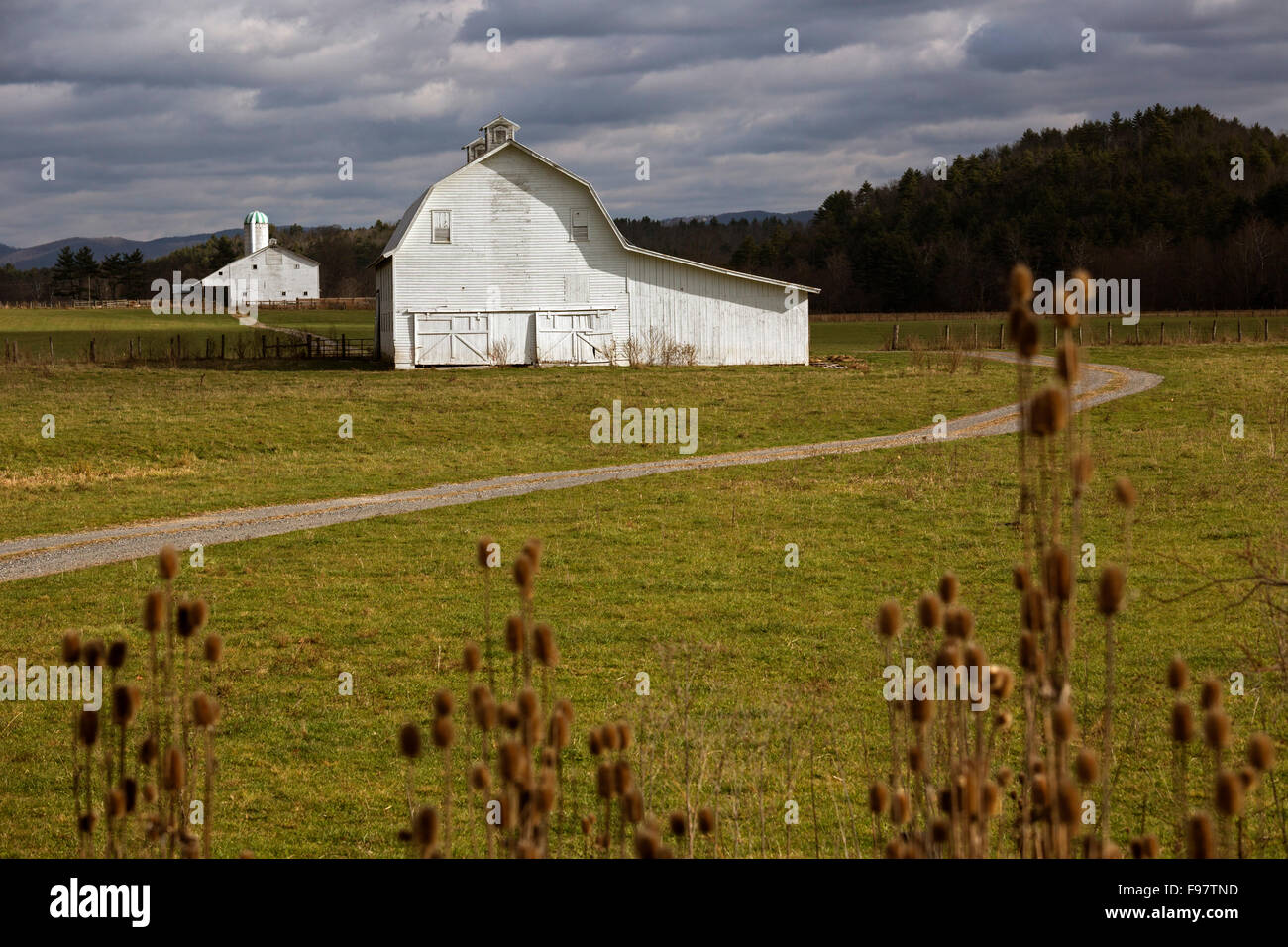 Grüne Bank, West Virginia - Scheunen auf einem Bauernhof im ländlichen Pocahontas County. Stockfoto