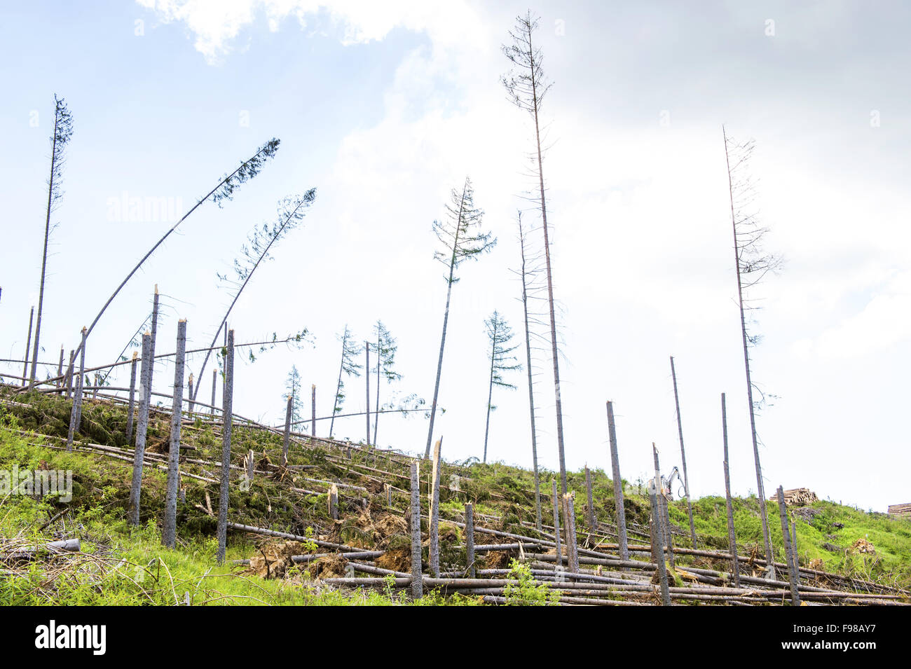 Zerstört Wald als Folge einer starken Sturm in der hohen Tatra, Slowakei Stockfoto