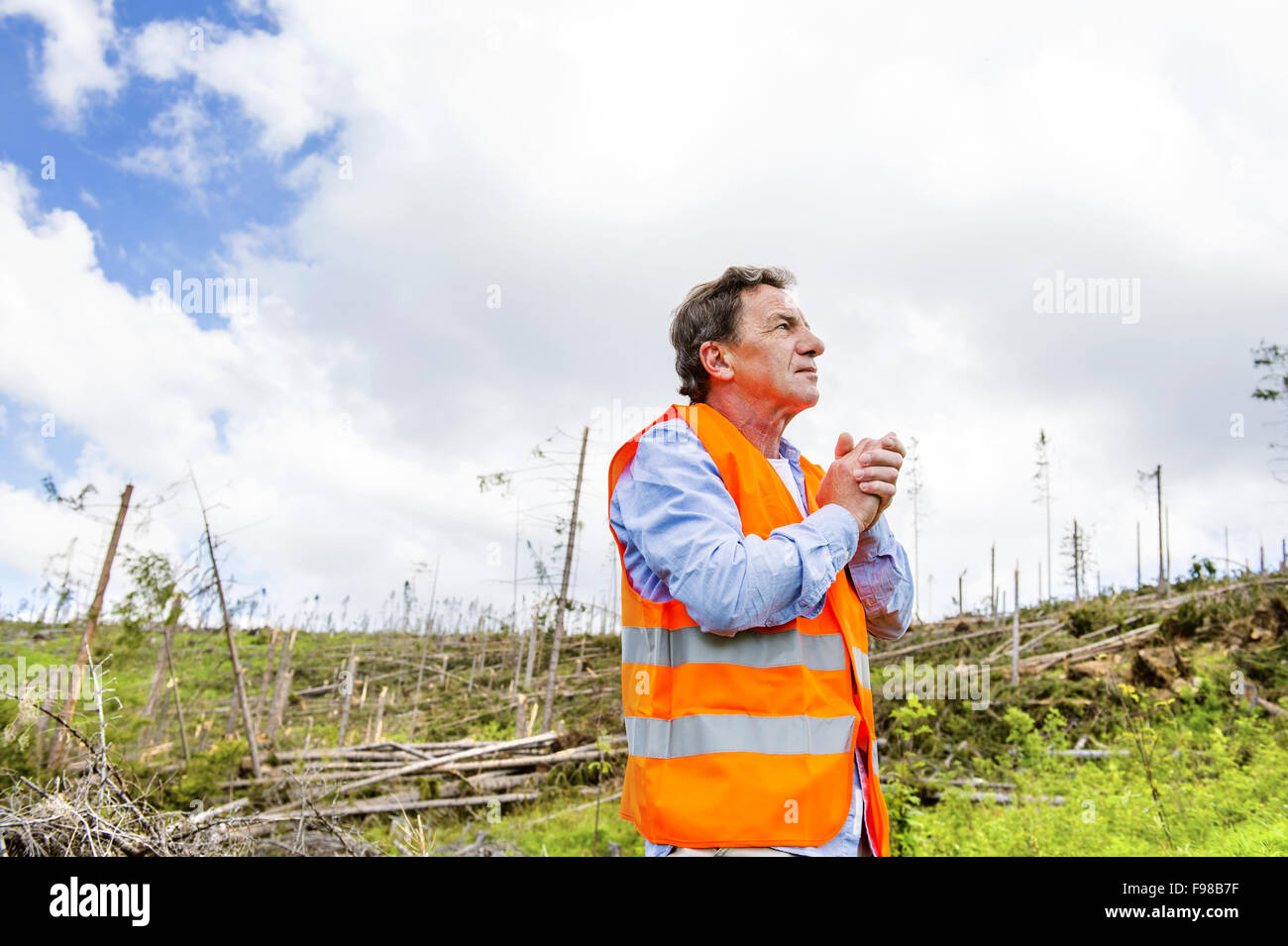 Retter im zerstörten Wald als Folge einer starken Sturm in der hohen Tatra, Slowakei Stockfoto