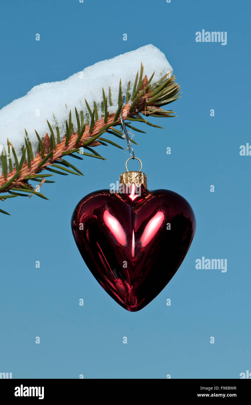 Weihnachtskugel auf einer Tanne mit Schnee im freien Stockfoto