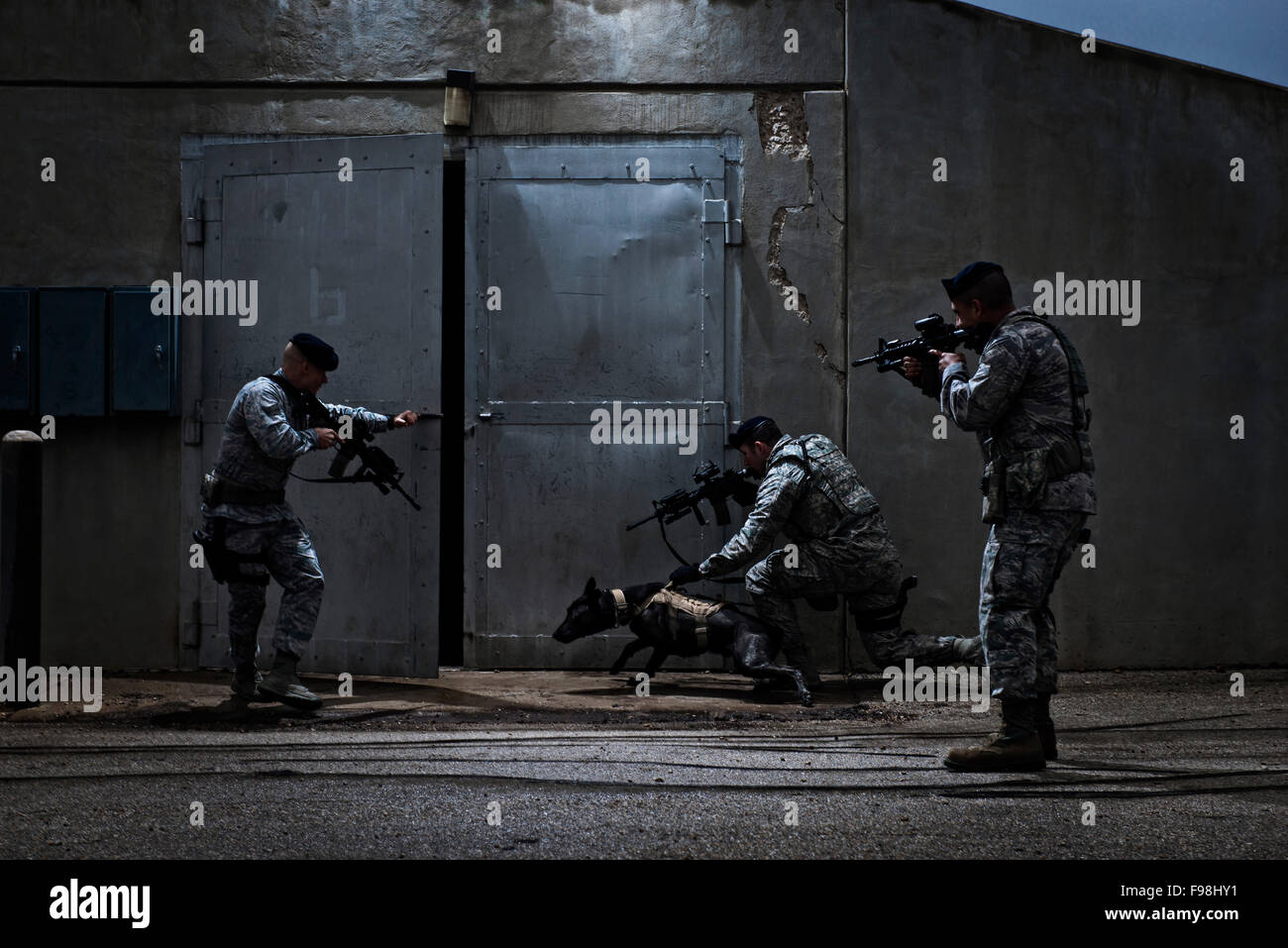 Air Force Security Forces Mitglieder und ein militärischer Arbeitshund, einem bewaffneten Angreifer zu einem Bunker zu verfolgen und vorzubereiten, die k-9 auf dem simulierten Ziel während des Trainings zu entfesseln. Stockfoto