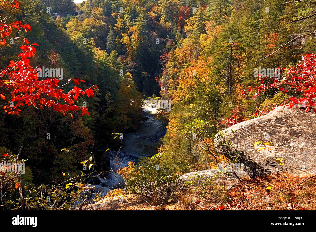 Tallulah Fluss gräbt sich seinen Weg durch Tallulah Schlucht State Park in North Georgia. Stockfoto