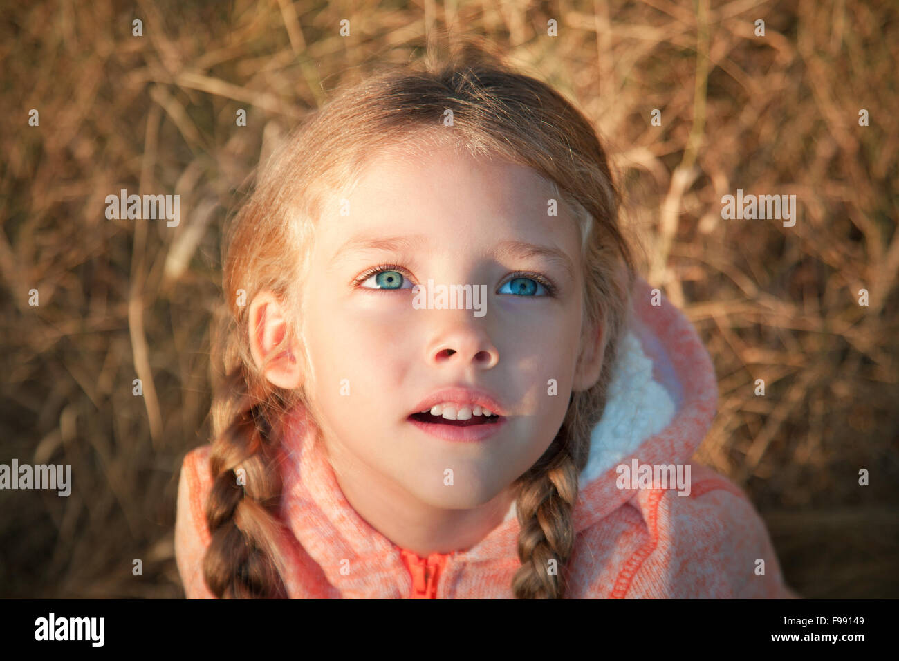 Porträt von einem kleinen Mädchen mit blauen Augen und Zöpfen Stockfoto