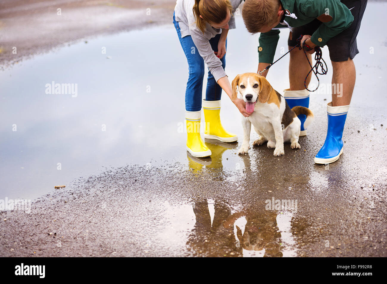Paar spazieren Hund im Regen. Details Gummistiefel in Pfützen planschen  Stockfotografie - Alamy