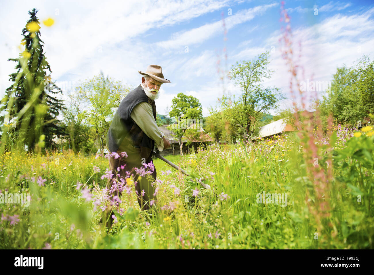 Alter Bauer mit Sense um zu mähen den Rasen traditionell mit Bart Stockfoto