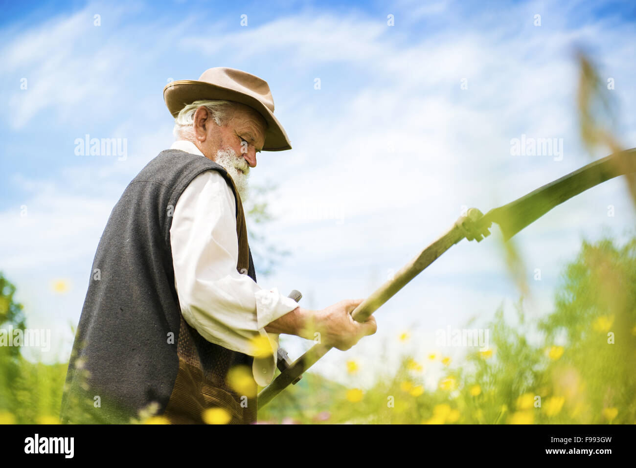 Alter Bauer mit Sense um zu mähen den Rasen traditionell mit Bart Stockfoto