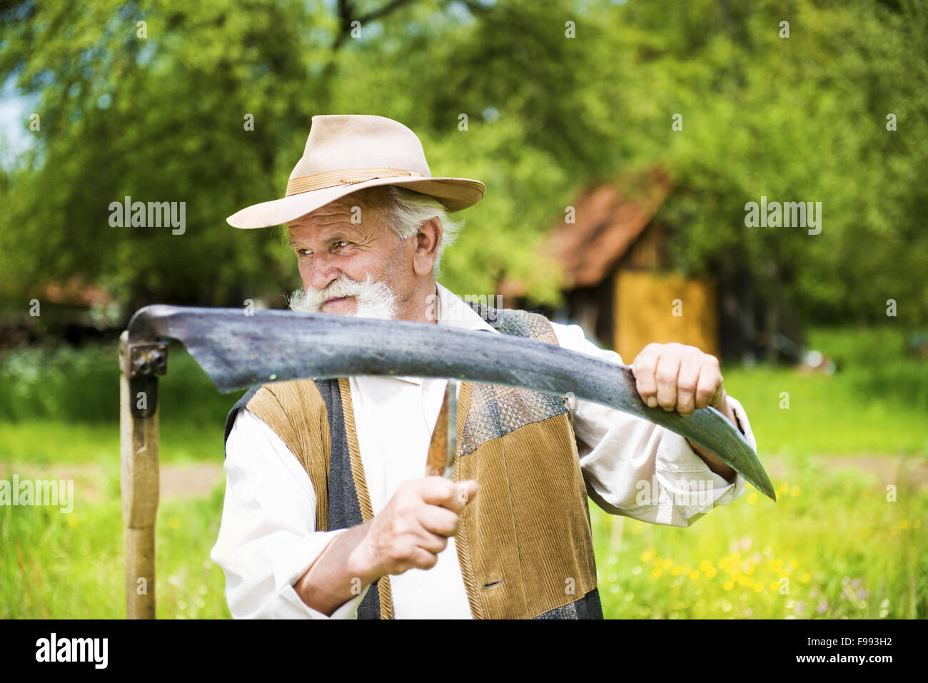 Alter Bauer mit Bart seine Sense schärfen, vor der Verwendung zu traditionell mähen den Rasen Stockfoto