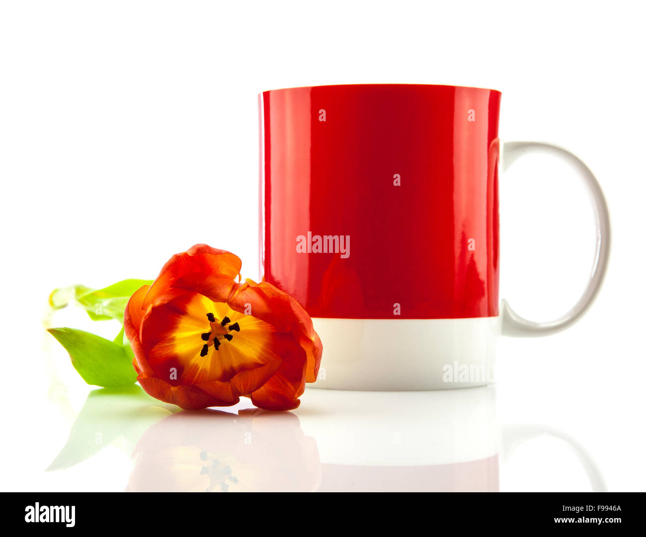 Rote Tasse mit Tulpe auf weißem Hintergrund Stockfoto