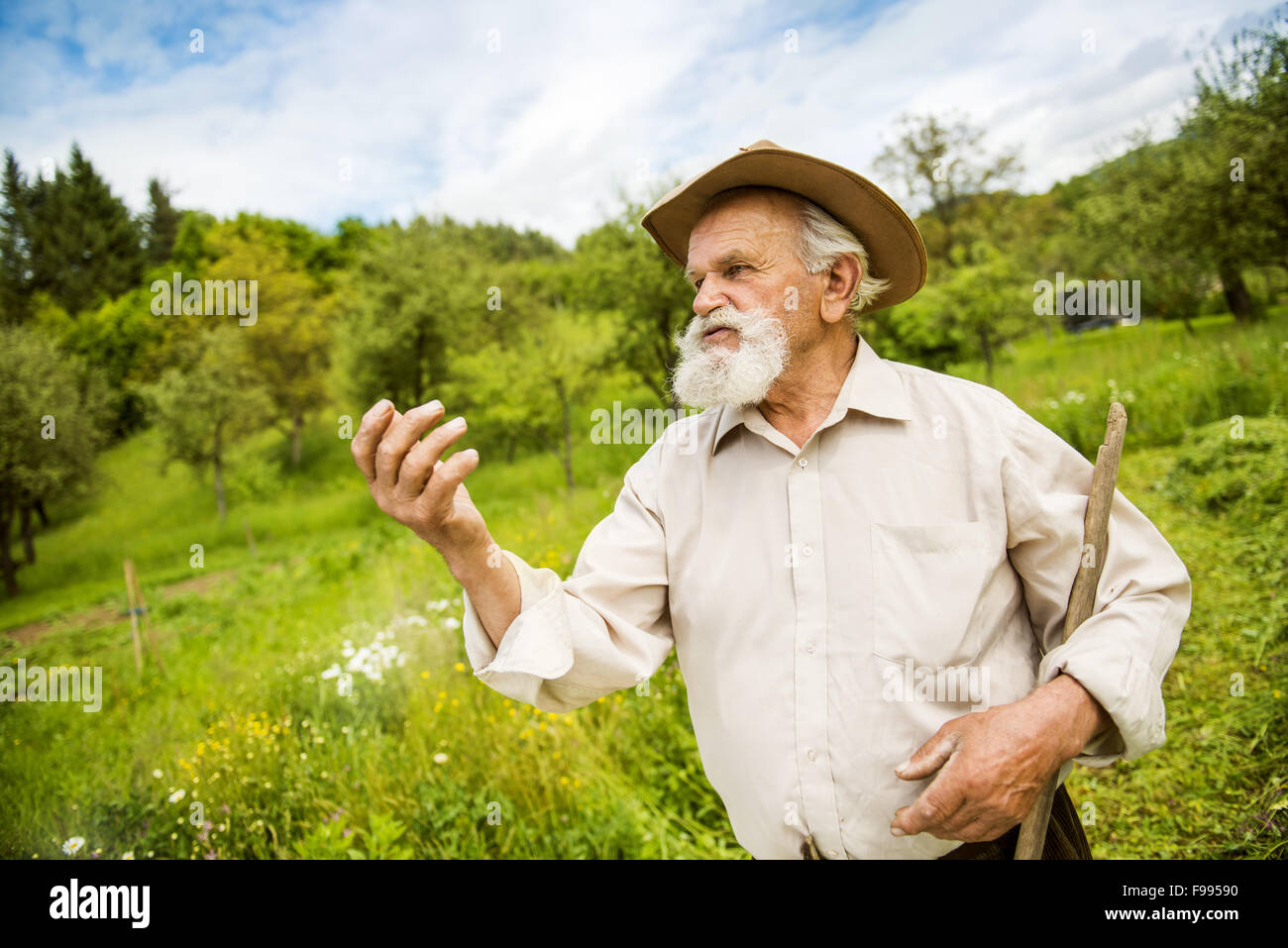 Alter Bauer mit Bart mit Rechen im Garten arbeiten Stockfoto