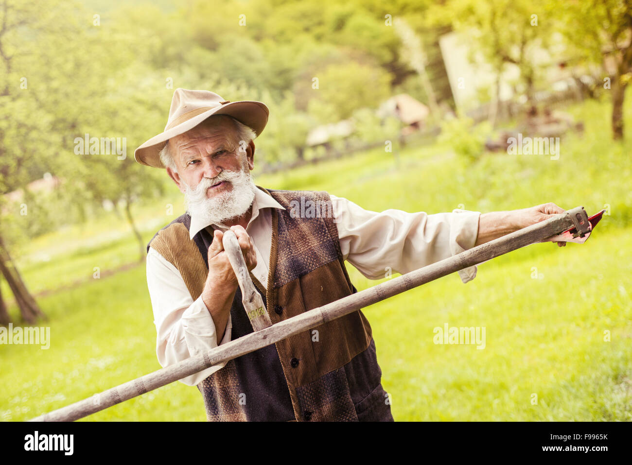 Alter Bauer mit Bart seine Sense vor der Verwendung zu traditionell mähen den Rasen vorbereiten Stockfoto