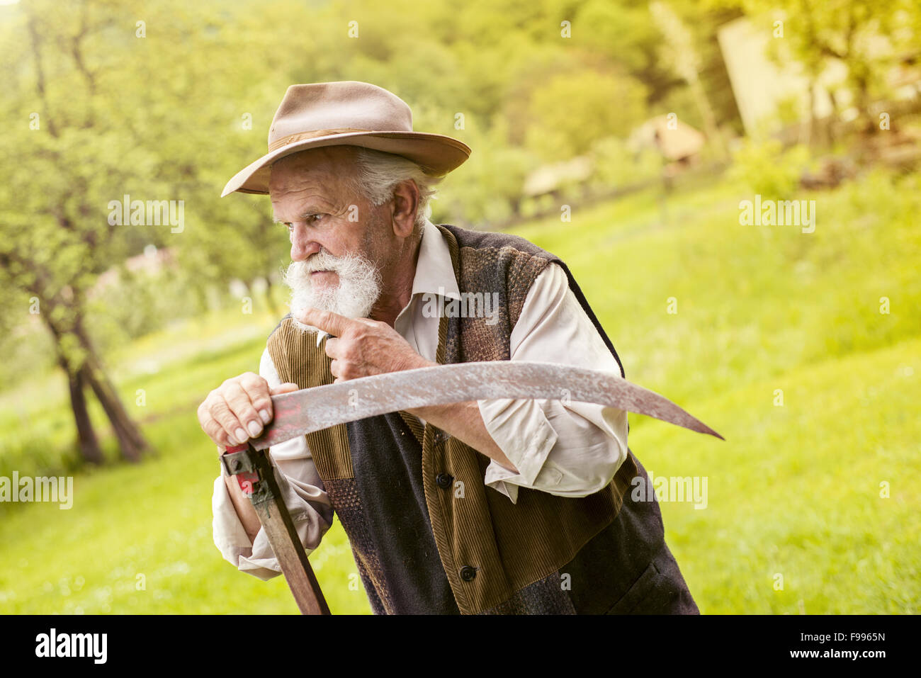 Alter Bauer mit Bart seine Sense vor der Verwendung zu traditionell mähen den Rasen vorbereiten Stockfoto
