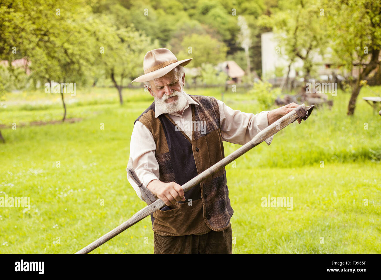 Alter Bauer mit Bart seine Sense vor der Verwendung zu traditionell mähen den Rasen vorbereiten Stockfoto
