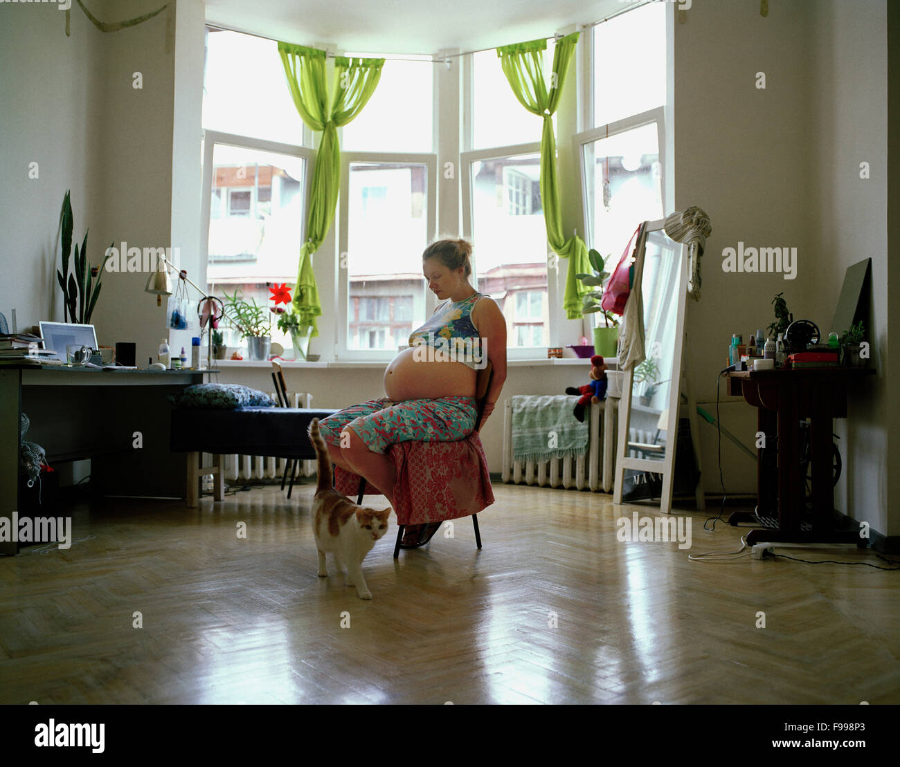 Junge schwangere Frau ist auf einem Stuhl in einem großen hellen Raum inzwischen Sitzgelegenheiten, die eine Katze in der Nähe von geht. Stockfoto