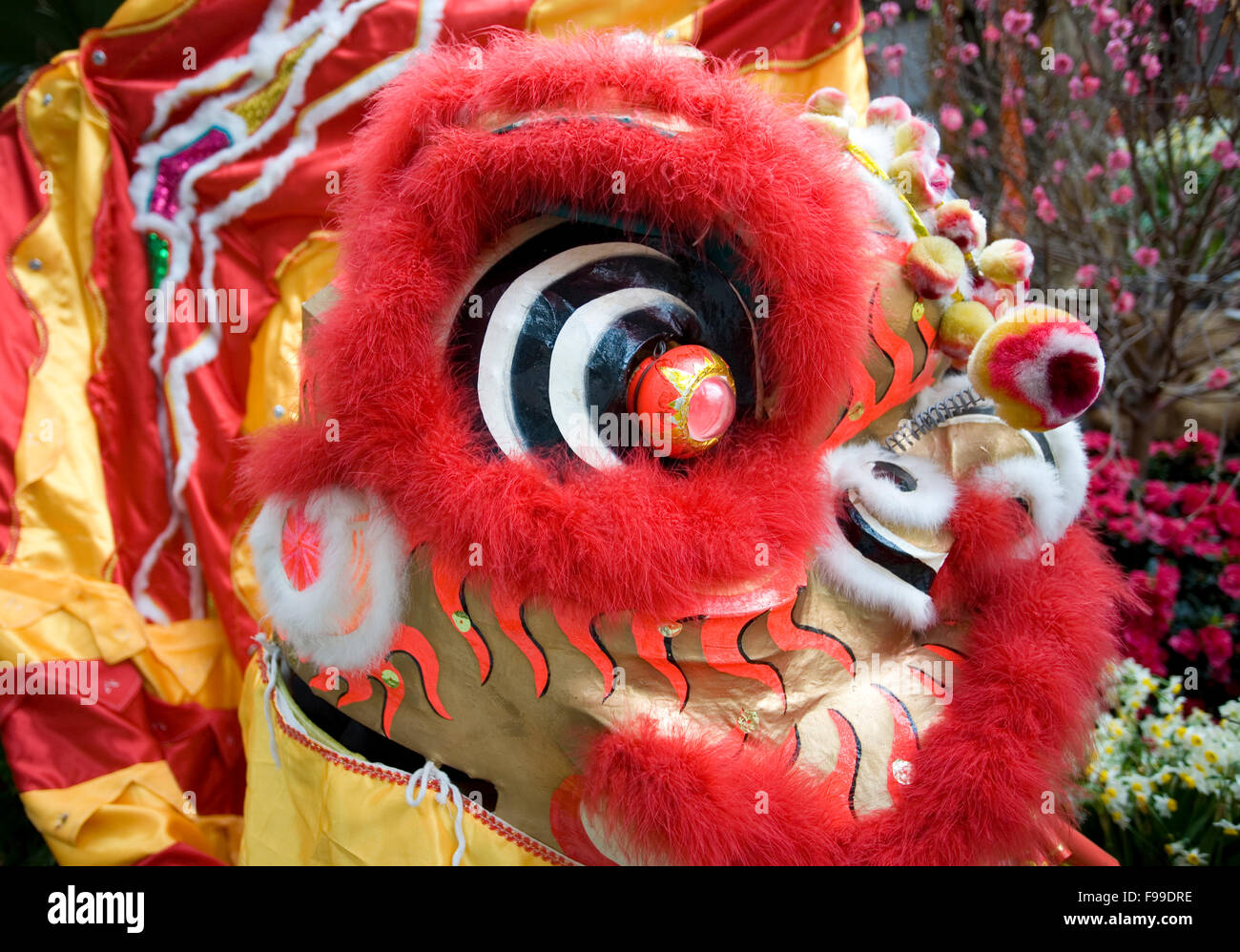 Nahaufnahme des chinesischen Löwenkopf Stockfoto