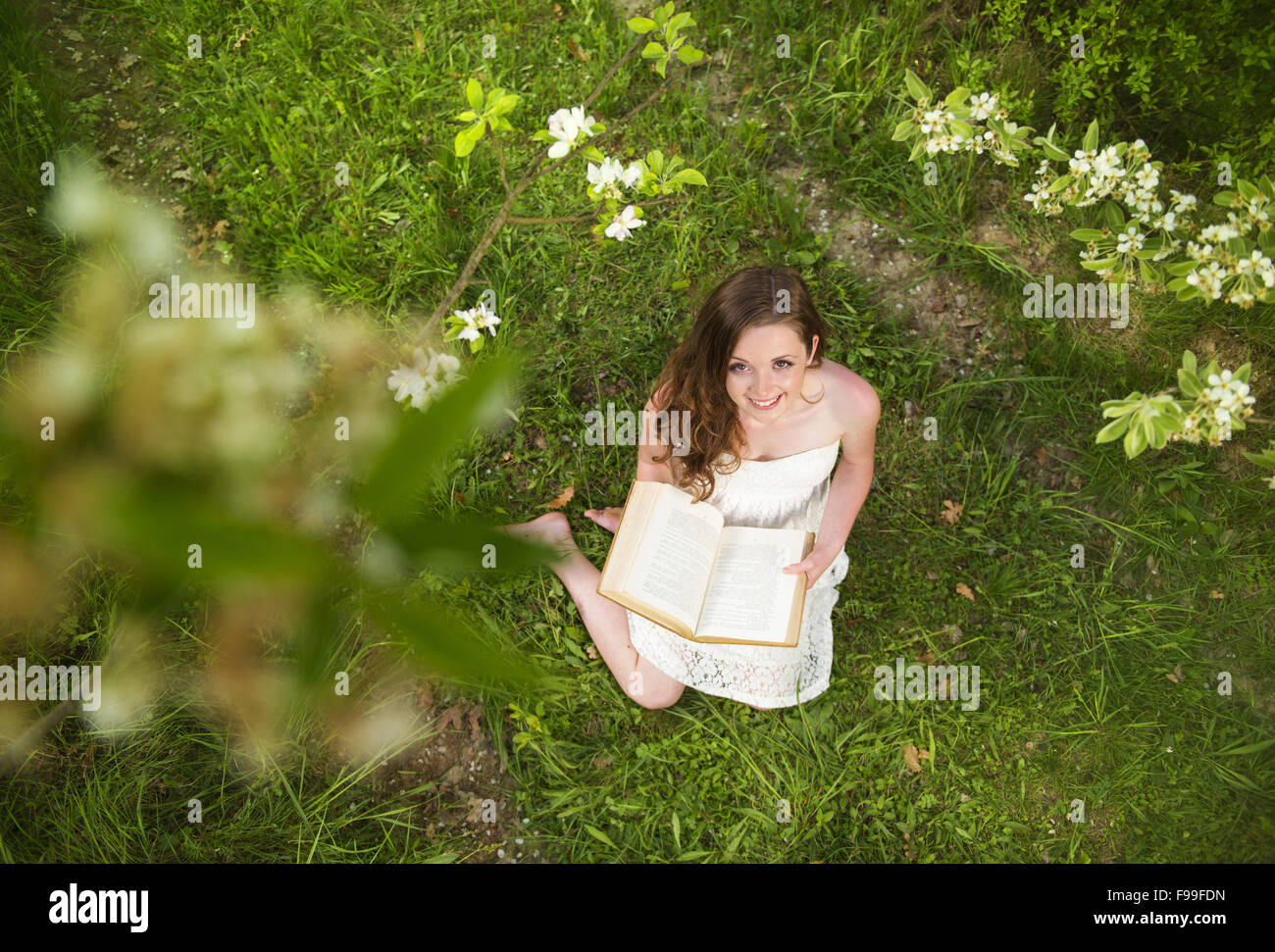 Beutiful junge Frau Lesebuch im grünen park Stockfoto