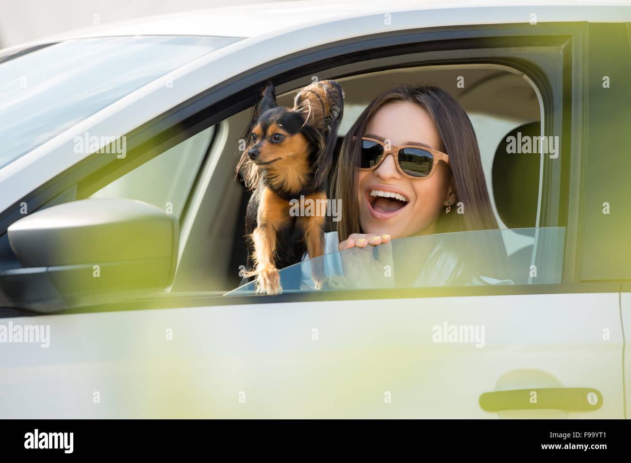 Frau und Hund im Auto im Sommer reisen. Lustiger Hund reisen. Urlaub mit Haustier-Konzept. Stockfoto