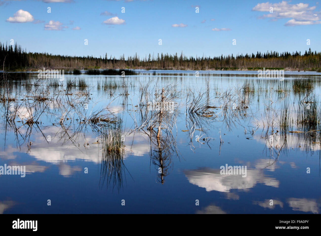 See Reflexionen auf der Autobahn 3 bis Yellowknife, nwt, Kanada Stockfoto