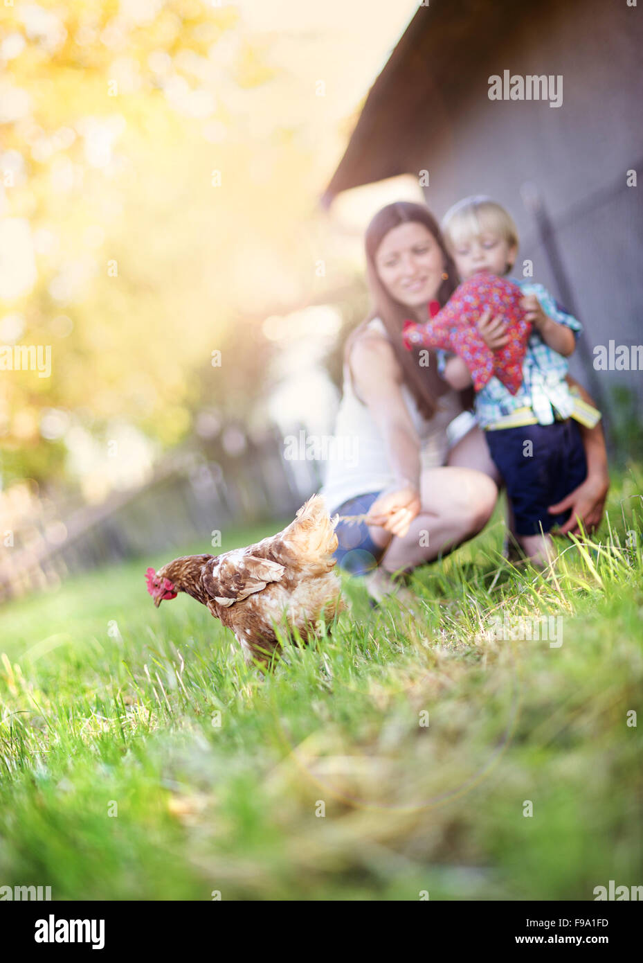 Mutter und Sohn mit Huhn draußen spielen. Sie sind auf der Farm. Stockfoto