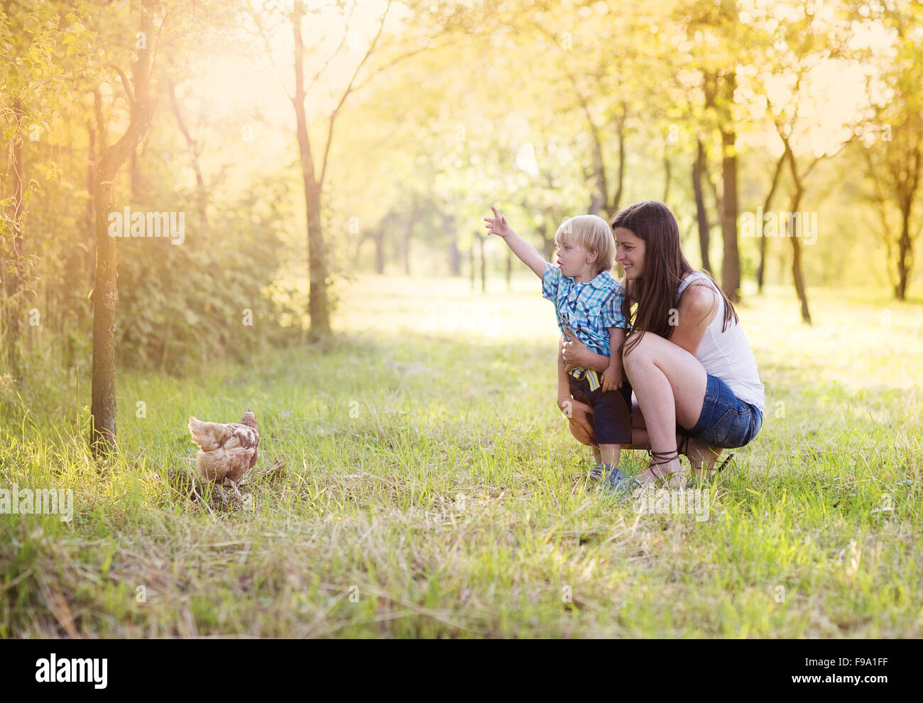 Mutter und Sohn mit Huhn draußen spielen. Sie sind auf der Farm. Stockfoto