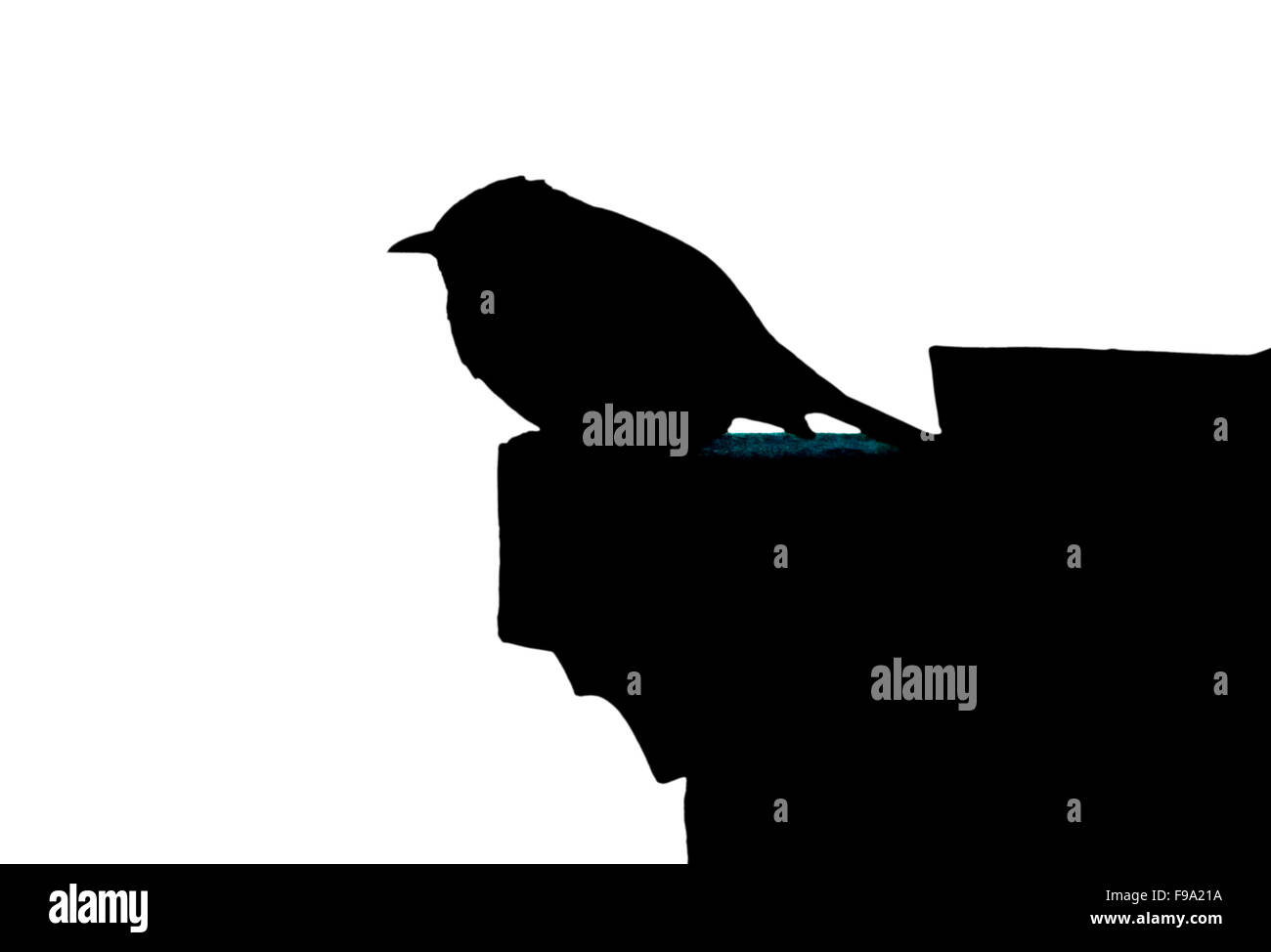 Silhouette von Vogel und chinesischen Dach Stockfoto