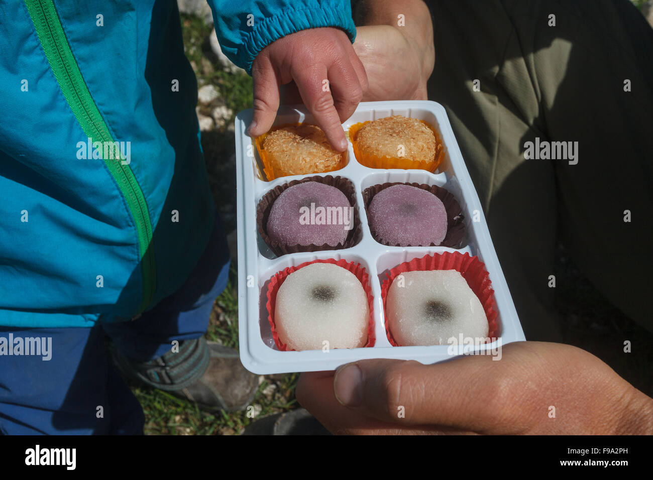 Kleinkind Jungen unter Mochi Daifuku Chinesisch-japanische Kuchen Stockfoto