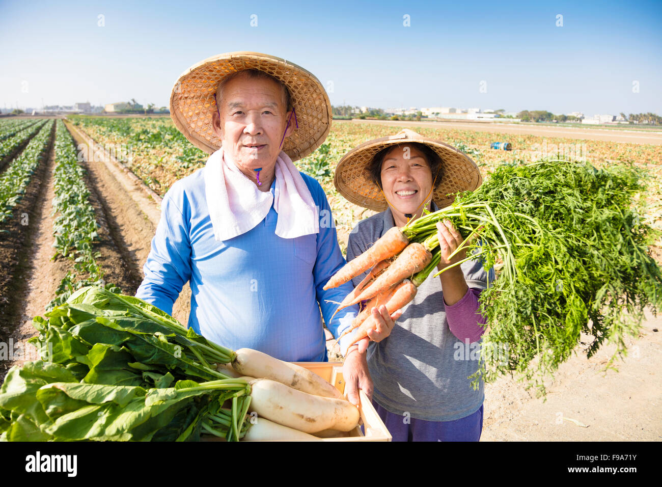 gerne älteres paar Bauer mit vielen Karotten in der hand Stockfoto