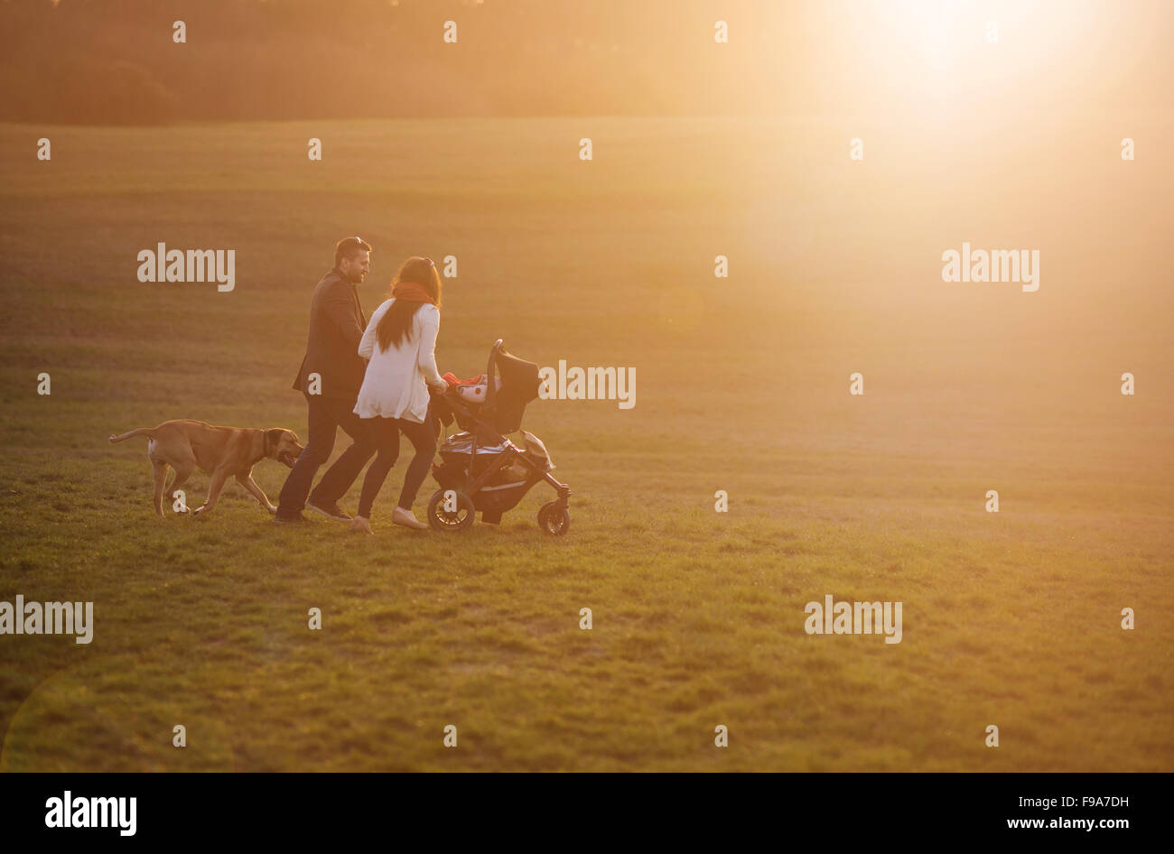 Glücklich und junge Familien mit Kinderwagen und Hund bei einem Spaziergang in der Natur Stockfoto