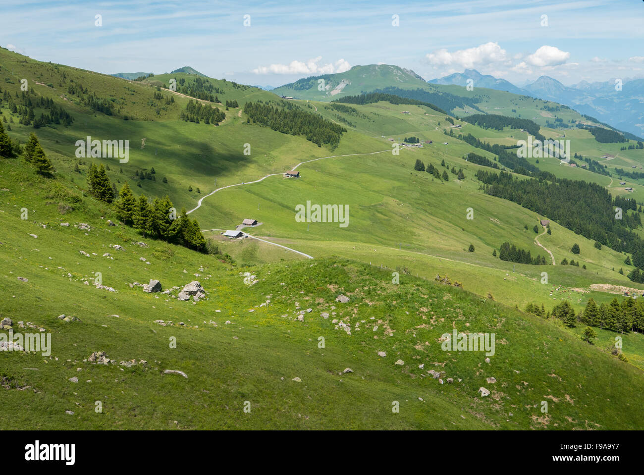 Sommer in den Schweizer Alpen über Champery anzeigen Grüne Felder, Wiesen, Scheunen und kurvenreiche Straßen und Wald. Stockfoto