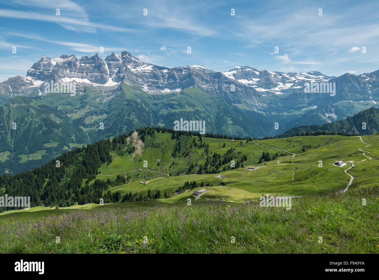 Sommer-Ansicht in den Schweizer Alpen genommen von oben Champery in Richtung Les Dents du Midi. Grüne Felder, verwinkelten Straßen und Wald. Stockfoto