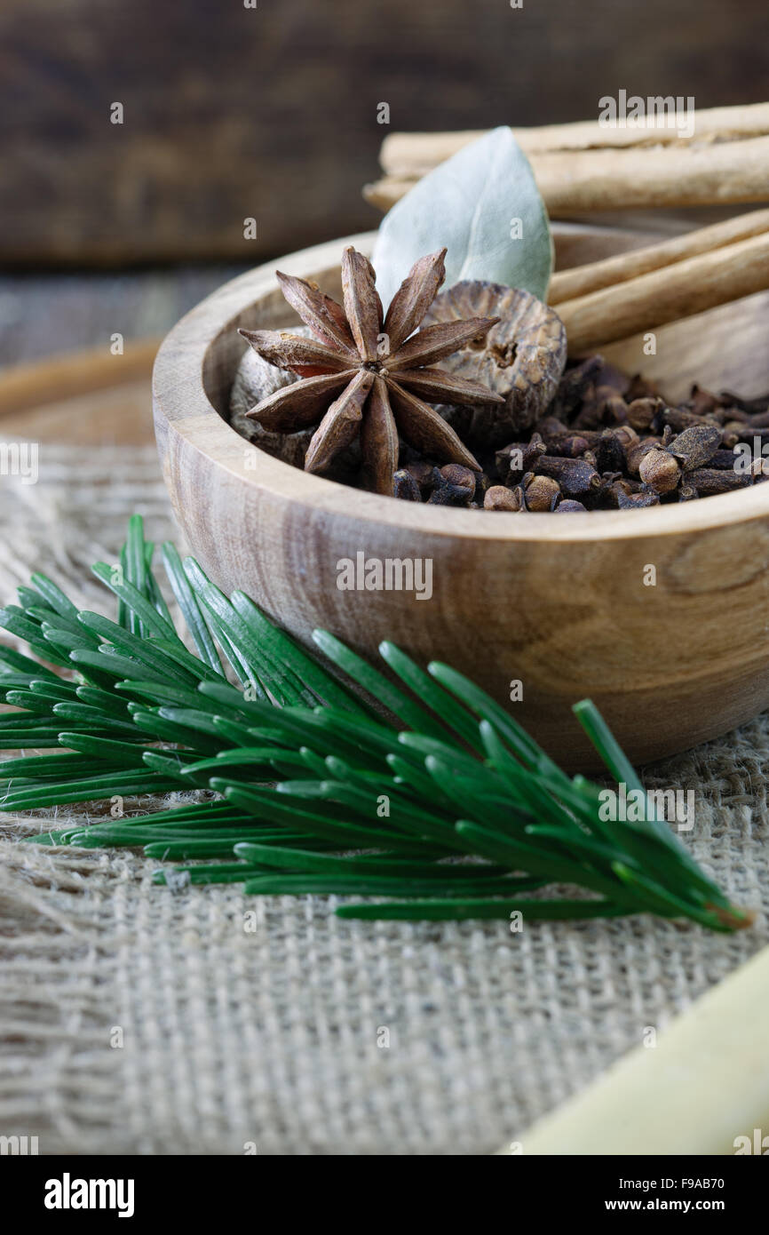 Kräuter und Gewürze. Stockfoto