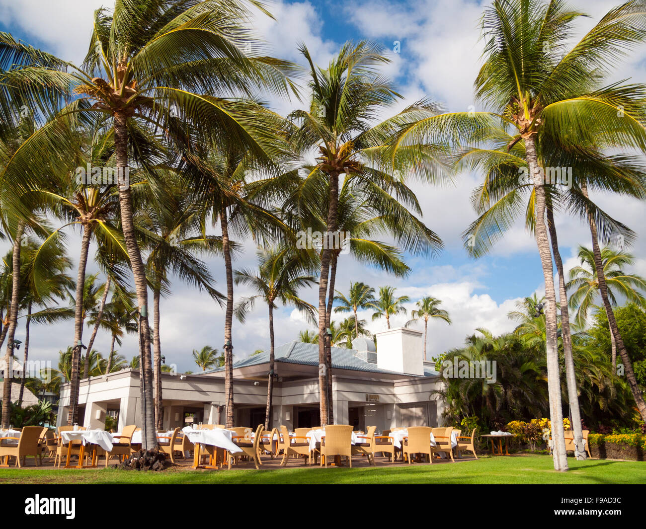 Browns Beach House Restaurant, unterhalb der Kokosnuss-Palmen auf dem Gelände der Fairmont Orchid, Kohala Coast, Hawai ' i. Stockfoto