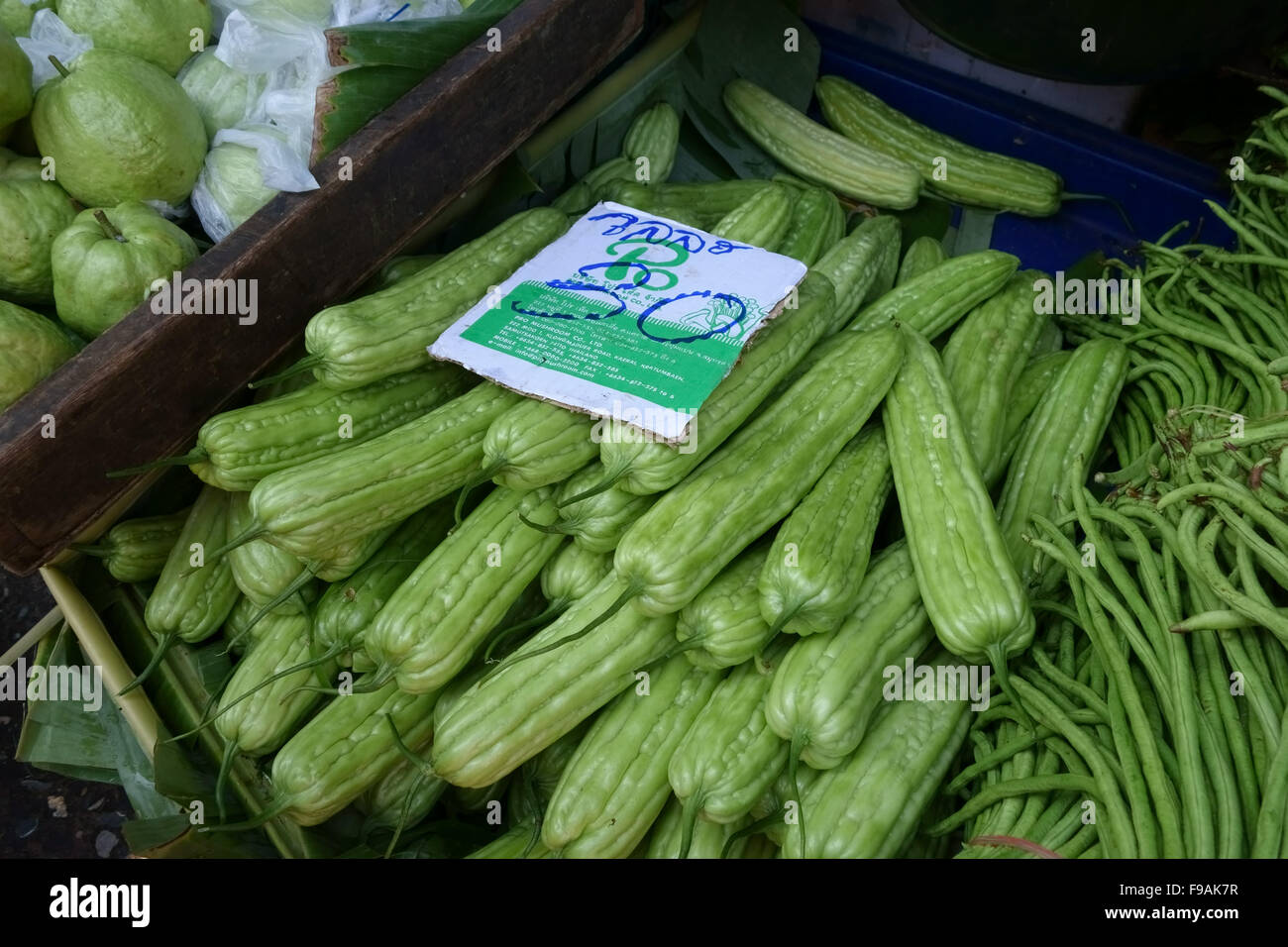 Bitter Melonen für den Verkauf auf einem Stall in ein Bangkok nass Lebensmittelmarkt mit 30 Baht Schilder, Thailand, Februar Stockfoto