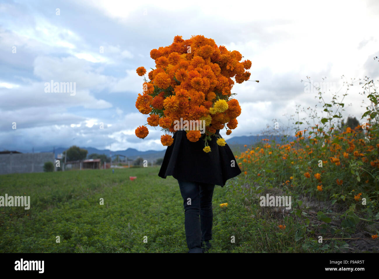 Day of the Dead in Oaxaca, Mexiko. Stockfoto