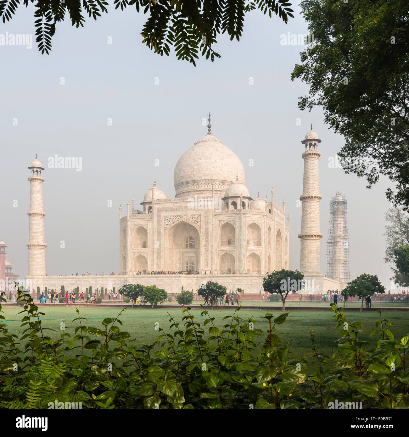 Tadsch Mahal in Agra, Uttar Pradesh, Indien Stockfoto