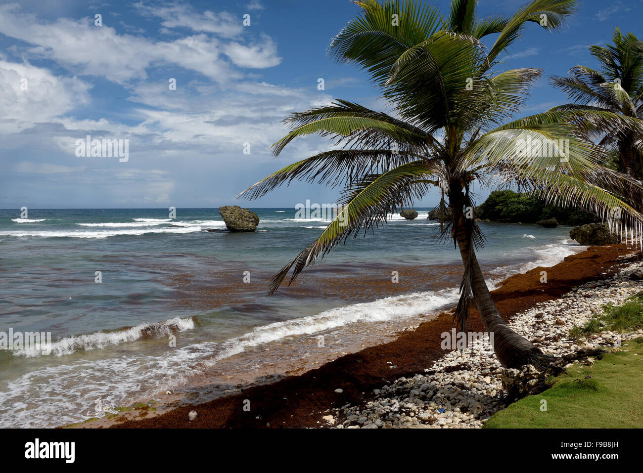 Bathseba in Barbados in der Pfarrei St. Joseph Stockfoto