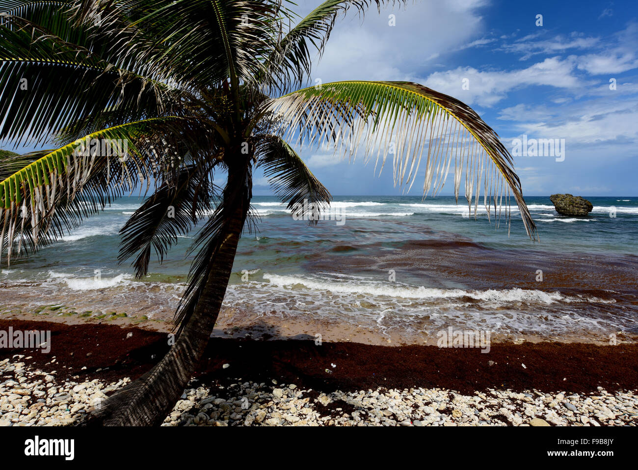 Bathseba in Barbados in der Pfarrei St. Joseph Stockfoto