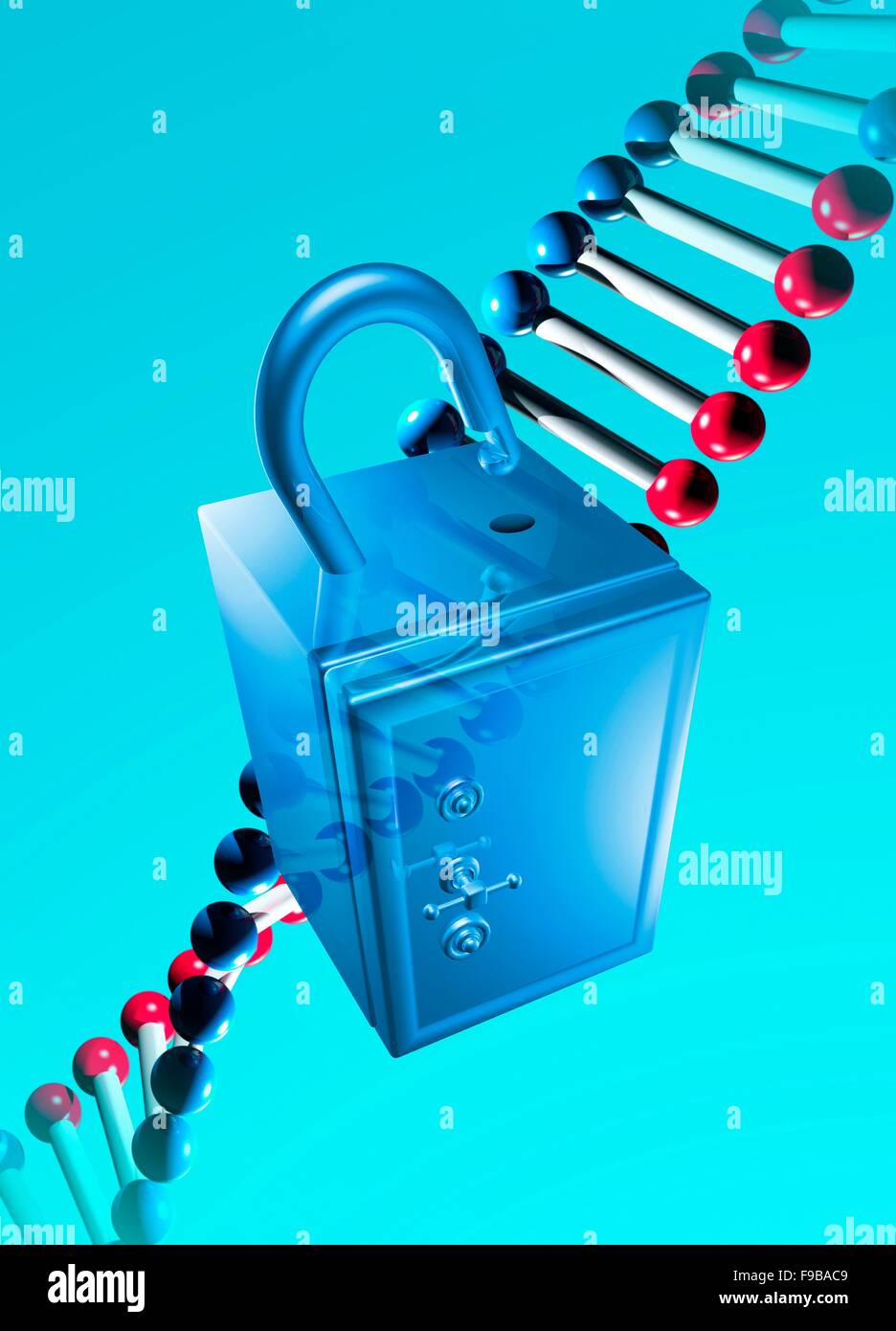 DNA (Desoxyribonukleinsäure) und Safe, Computer Bild. Stockfoto