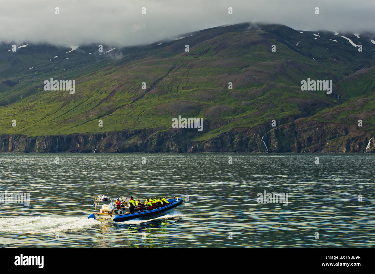 Whale-watching-Tour von schnellen Schlauchboot in der Nähe von Husavik Stockfoto