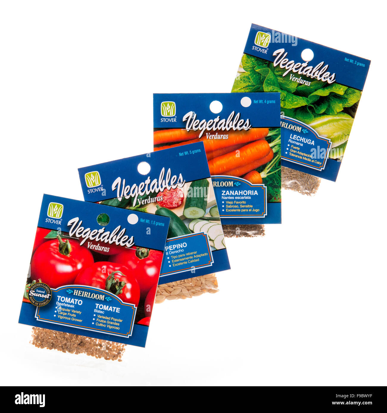 Gemüsegarten Saatgutpackungen mit englischen und spanischen Beschreibungen. Stockfoto