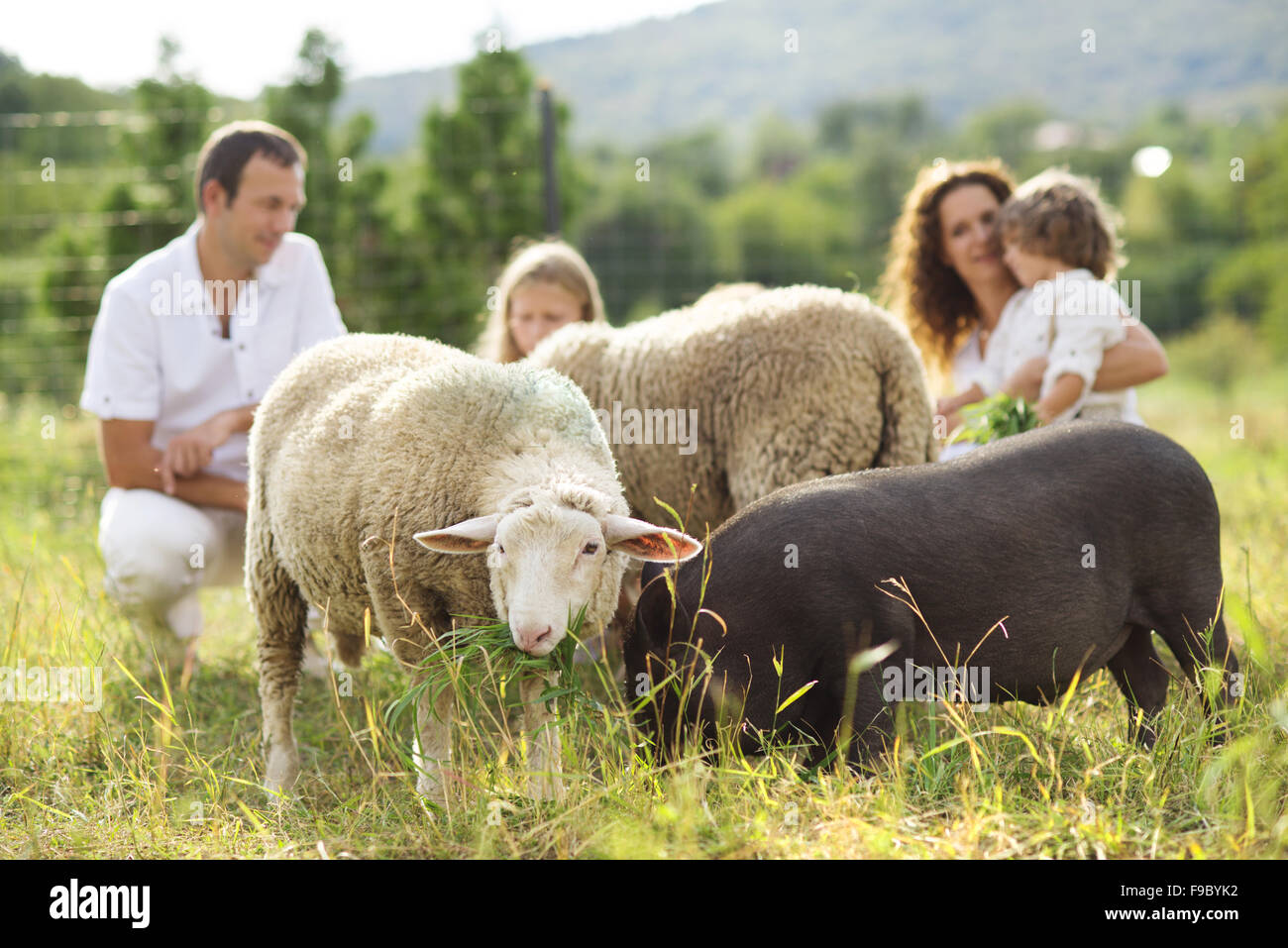 Familie mit fünf Kindern füttert die Tiere auf dem Bauernhof Stockfoto