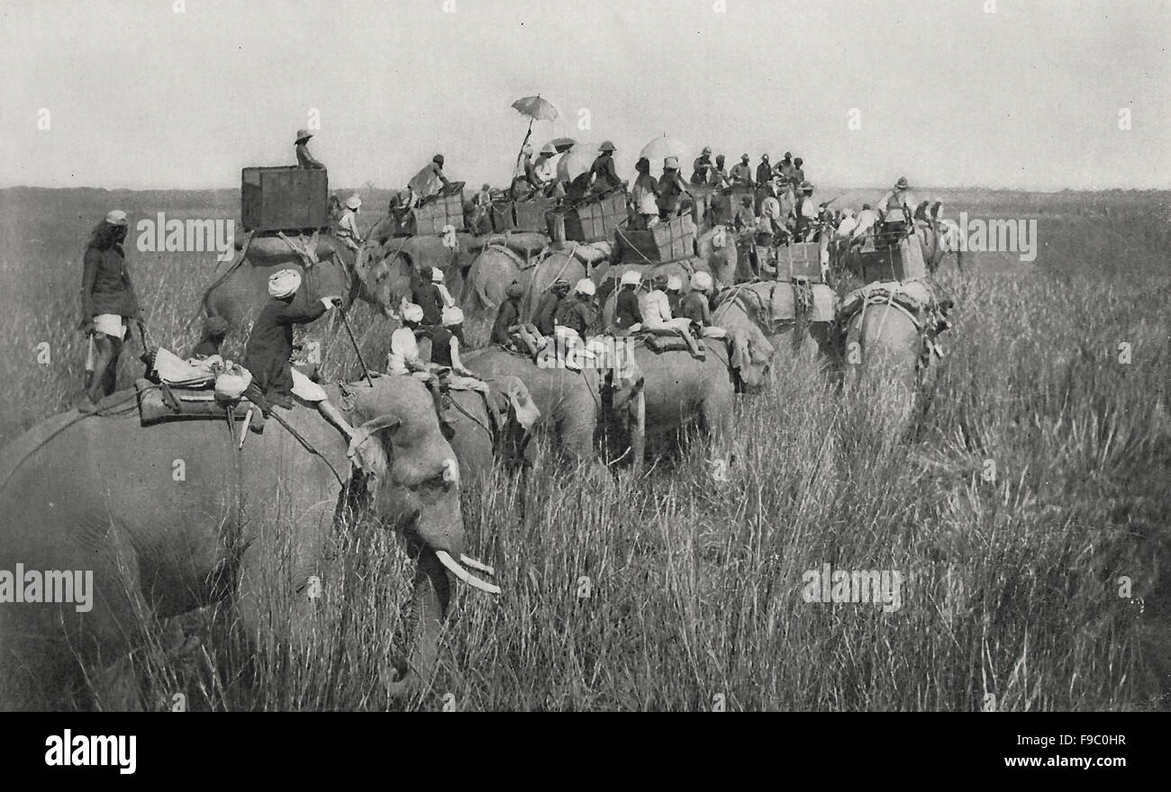 Am Anfang für eine Fahrt der Tiger in Indien - die Howdah Elefanten und Sportler führen; Pad oder treibende Elefanten im Anschluss, um 1900 Stockfoto
