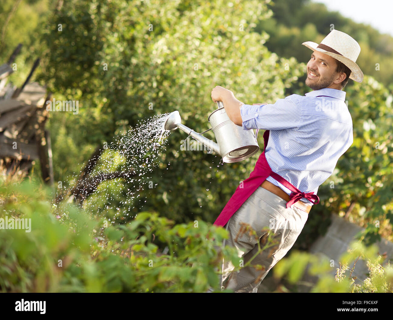 Junge männliche Gärtner ist Pflanzen im Garten gießen Stockfotografie