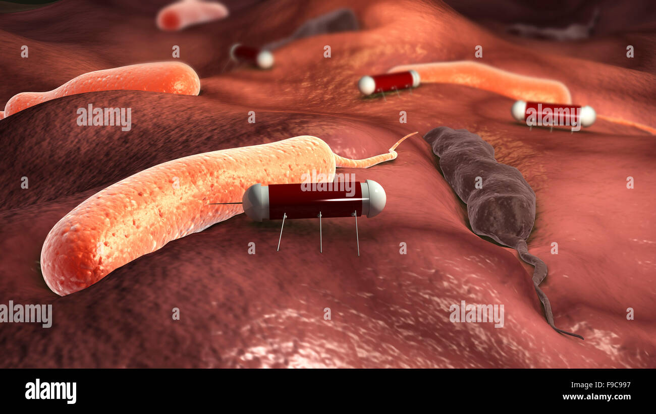 Nanobots angreifenden Cholera-Virus, Stockfoto