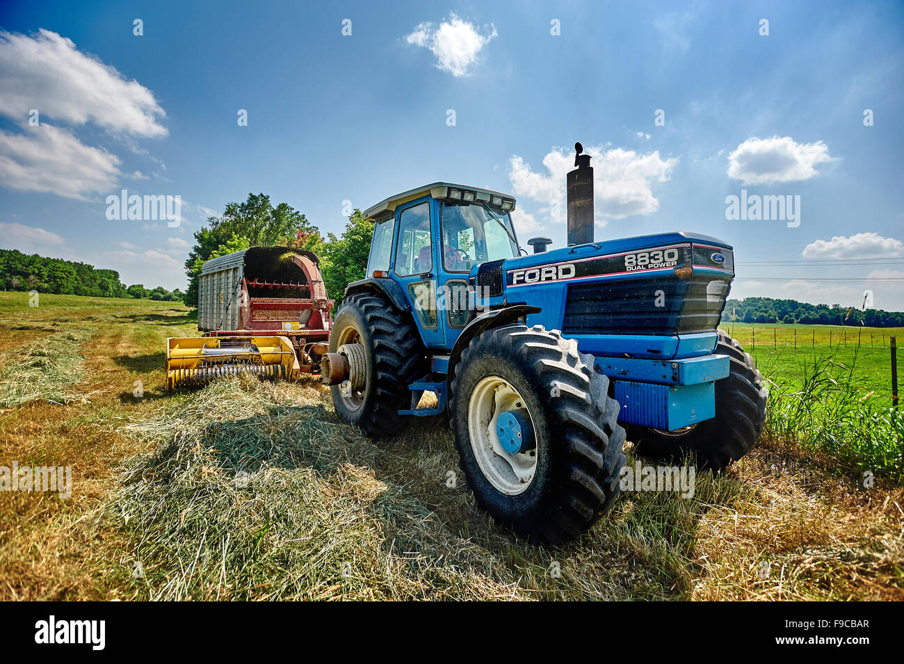 Mit Hilfe eines Traktors, Heu um Viehfutter auf einer Milchfarm in Minnesota zu sammeln Stockfoto