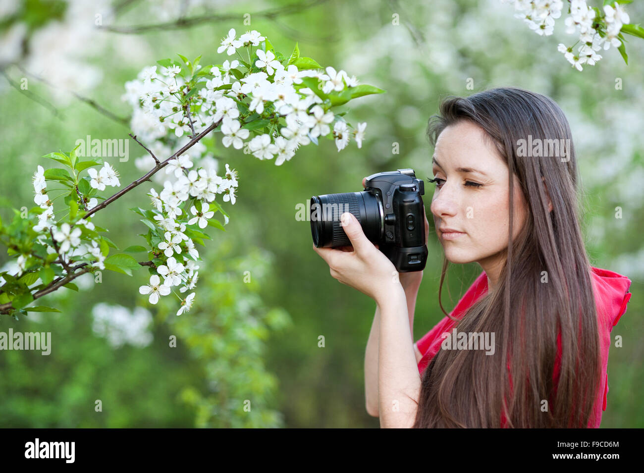 Fotograf-Frau ist in grünen Park fotografieren. Stockfoto