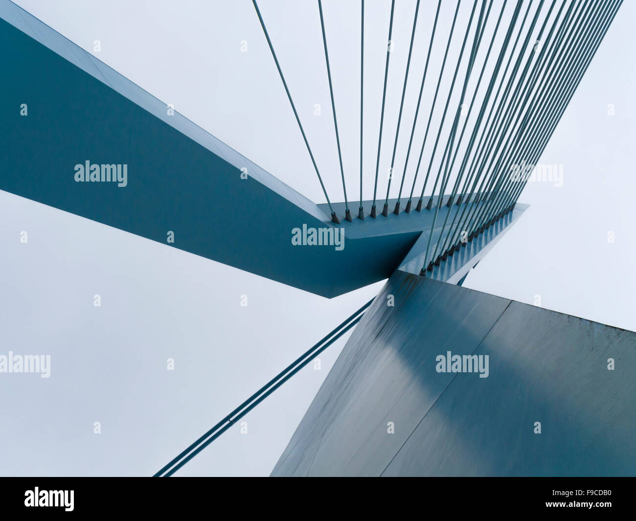 Stahl-Pylon "De Zwaan" und Stahlseilen der Erasmusbrücke in Rotterdam, Niederlande (Erasmusbrücke). Stockfoto