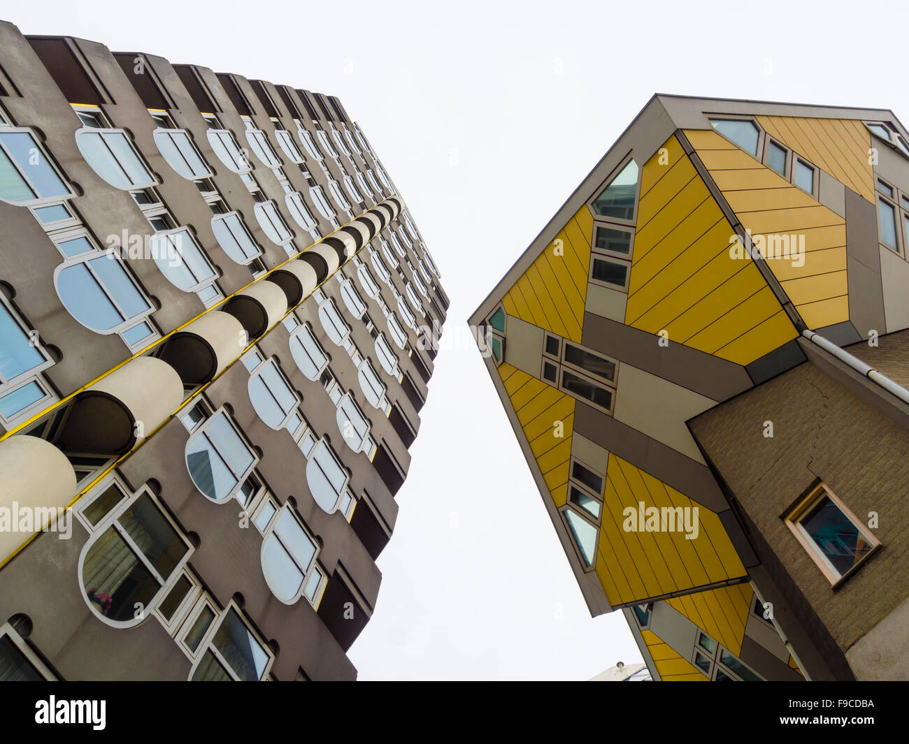 Die Kubushäuser (Kubuswoningen) des Architekten Piet Blom neben benachbarten "Blaakse Bos' (links) in Rotterdam, Niederlande. Stockfoto